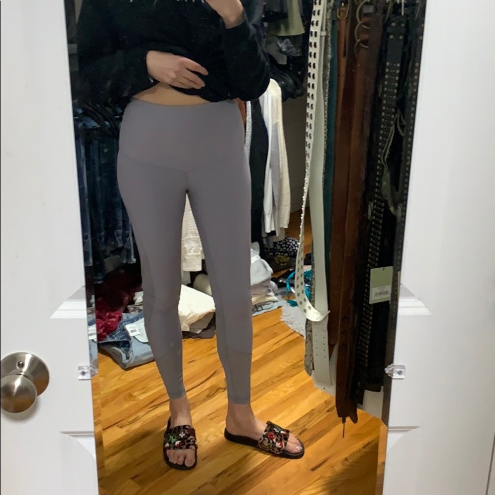 NWT Crane & Lion Super High Rise Tight w Mesh